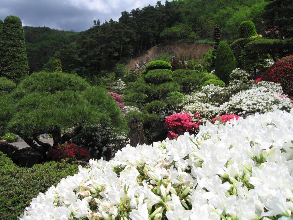 割烹旅館 桃山 松本市 エクステリア 写真